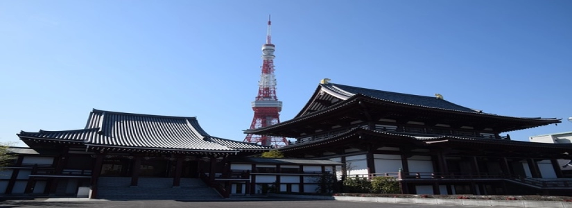 孔令辉危机公关